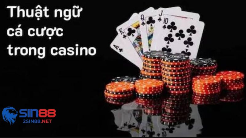 Lý do người chơi nên hiểu kỹ các thuật ngữ Casino 